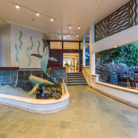 @ Marbella Lane - Oceanview Suite Steps To Beach Honolulu Ngoại thất bức ảnh